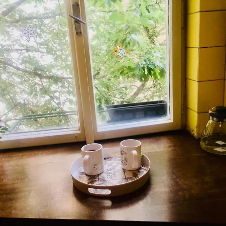 Prague Center Flat Near Dancing House *